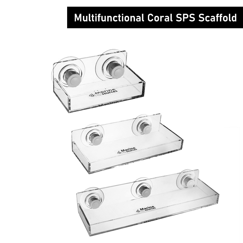 Marine Coral - 海洋源多機能コーラルSPSスキャフォールド水草用造園栽培装飾用