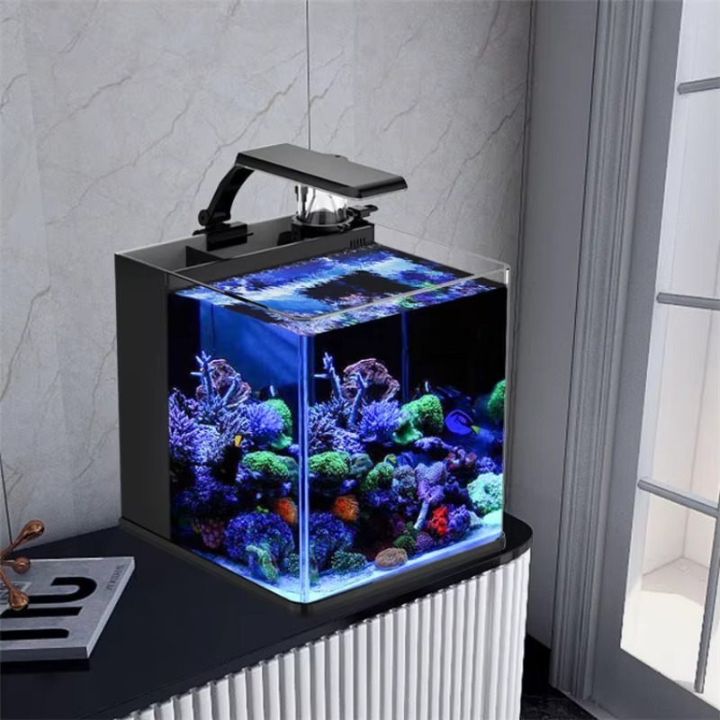 超透明ガラス製ミニ海水水槽（マリン用） - Marine Aquarium Cube のレビューと価格
