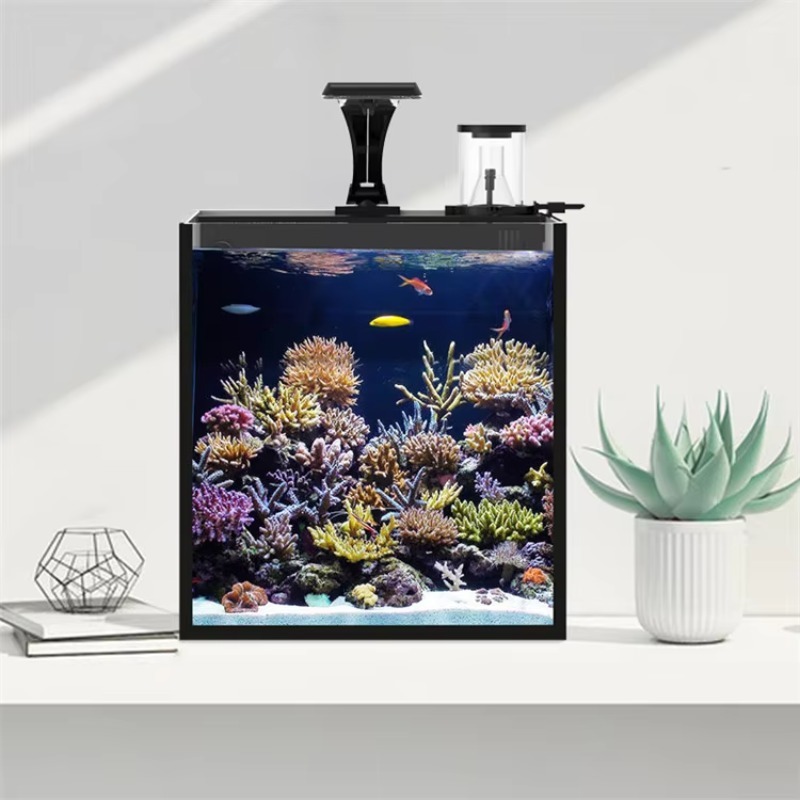 超透明ガラス製ミニ海水水槽（マリン用） - Marine Aquarium Cube のレビューと価格