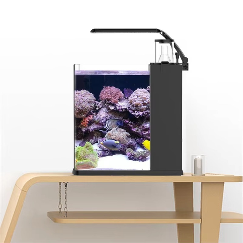 超透明ガラス製ミニ海水水槽（マリン用） - Marine Aquarium Cube のレビューと価格
