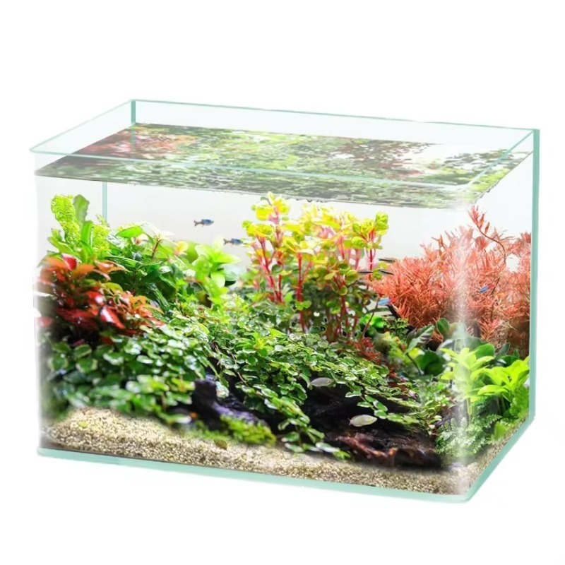 ボックス梱包デスクトップ水槽ウルトラホワイトクリア曲面ガラス - Saltwater Tank のレビューと価格