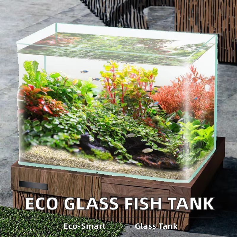 ボックス梱包デスクトップ水槽ウルトラホワイトクリア曲面ガラス - Saltwater Tank のレビューと価格