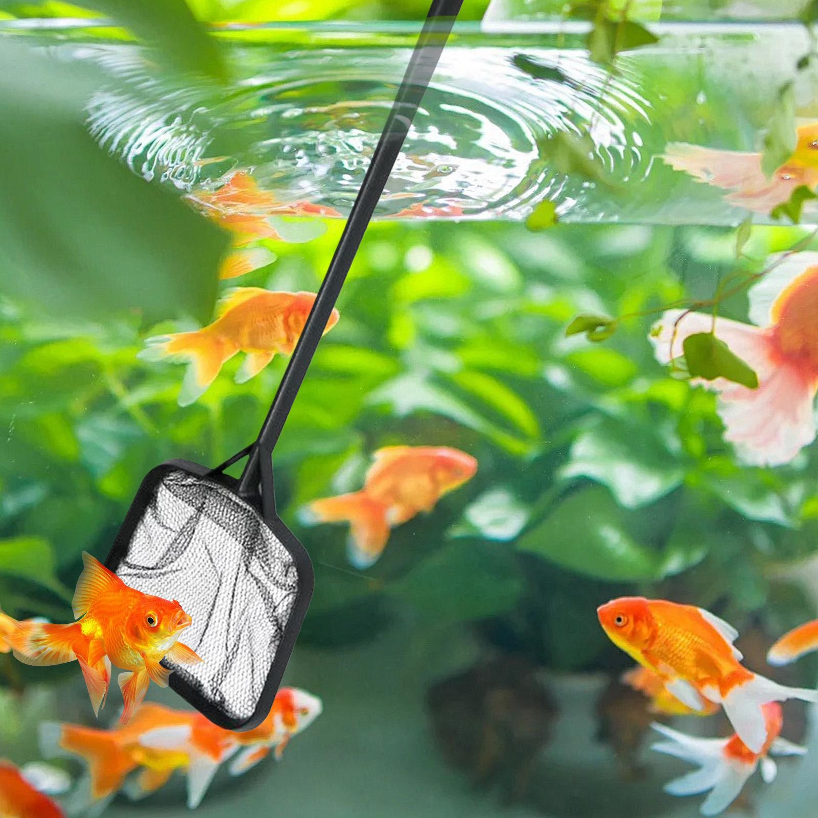プールネット 清掃用 ポータブルプールストレーナーネット 噴 - Ocean Aquarium のレビューと価格