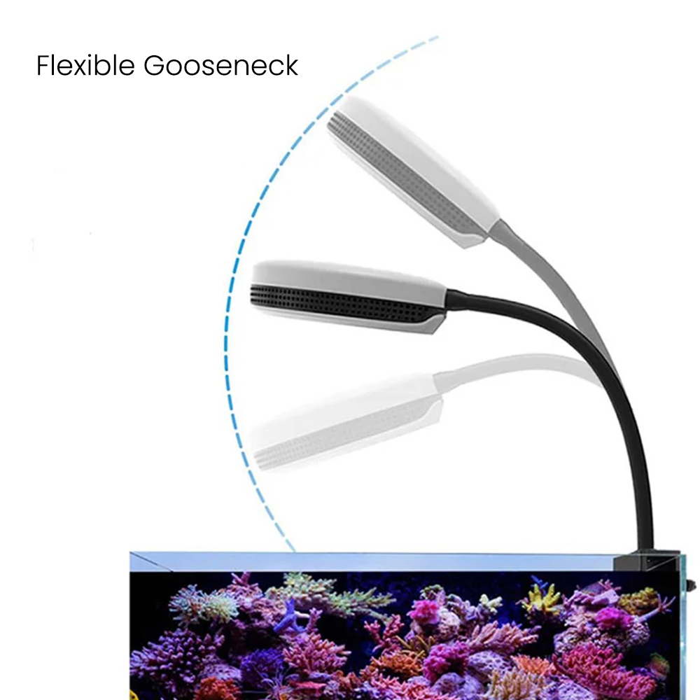 スペクトラSP20 20W水槽用LEDライト フルスペクトル - Marine Coral のレビューと価格