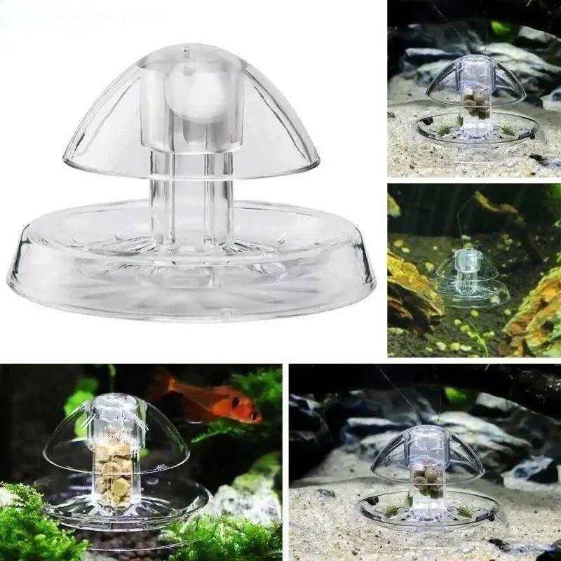 2026年新発売 6/8CM 透明プラスチック製カタツムリ捕 - Ocean Aquarium のレビューと価格