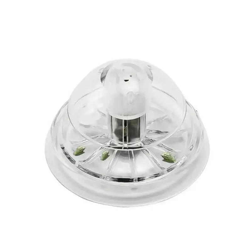 2026年新発売 6/8CM 透明プラスチック製カタツムリ捕 - Ocean Aquarium のレビューと価格