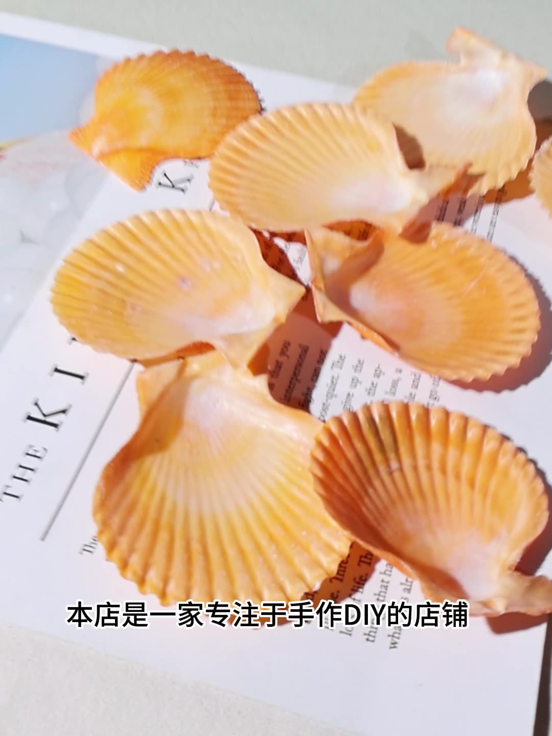 最高の黄色のホタテ貝の水槽風景 DIY 手装飾マリンシステム - Marine Fish Tank のレビューと価格