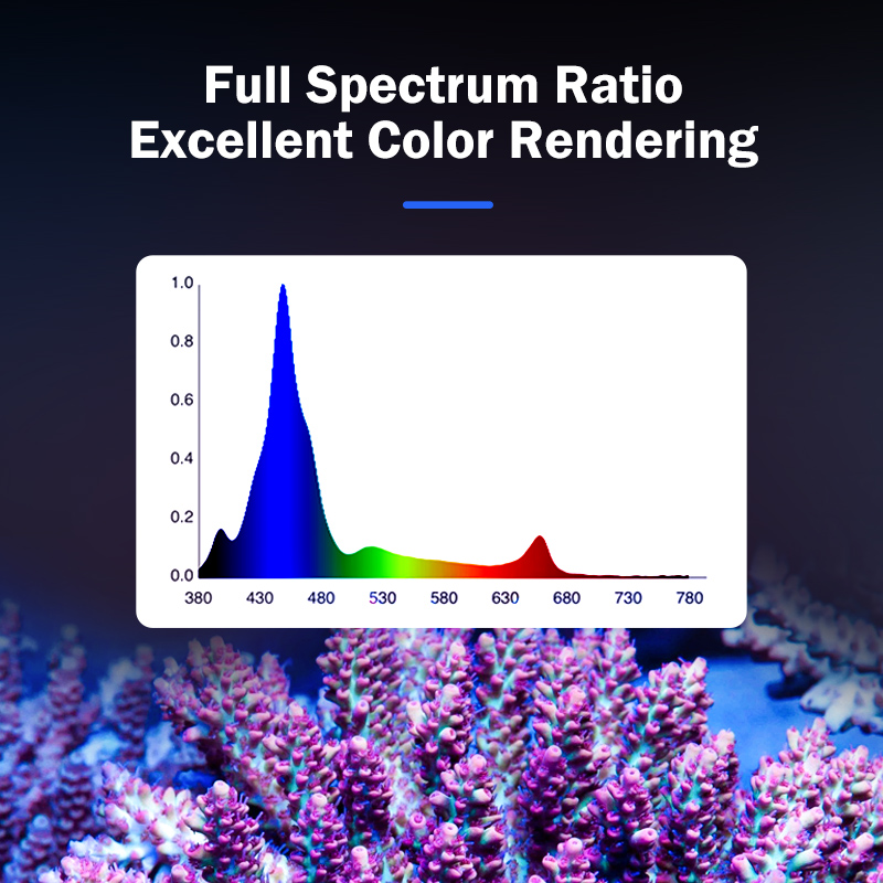 ホットKASSRAY T169/T215 CREEs LED - Reef Aquarium のレビューと価格