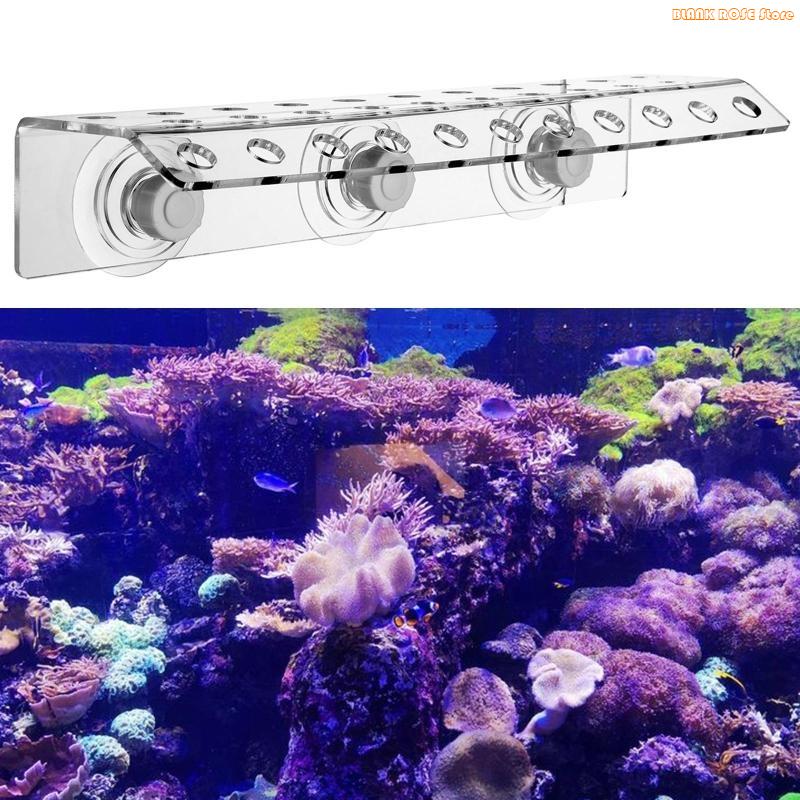 K1AE アクリルサンゴフラグラック水族館用強力な吸盤は最大 - Reef Aquarium のレビューと価格
