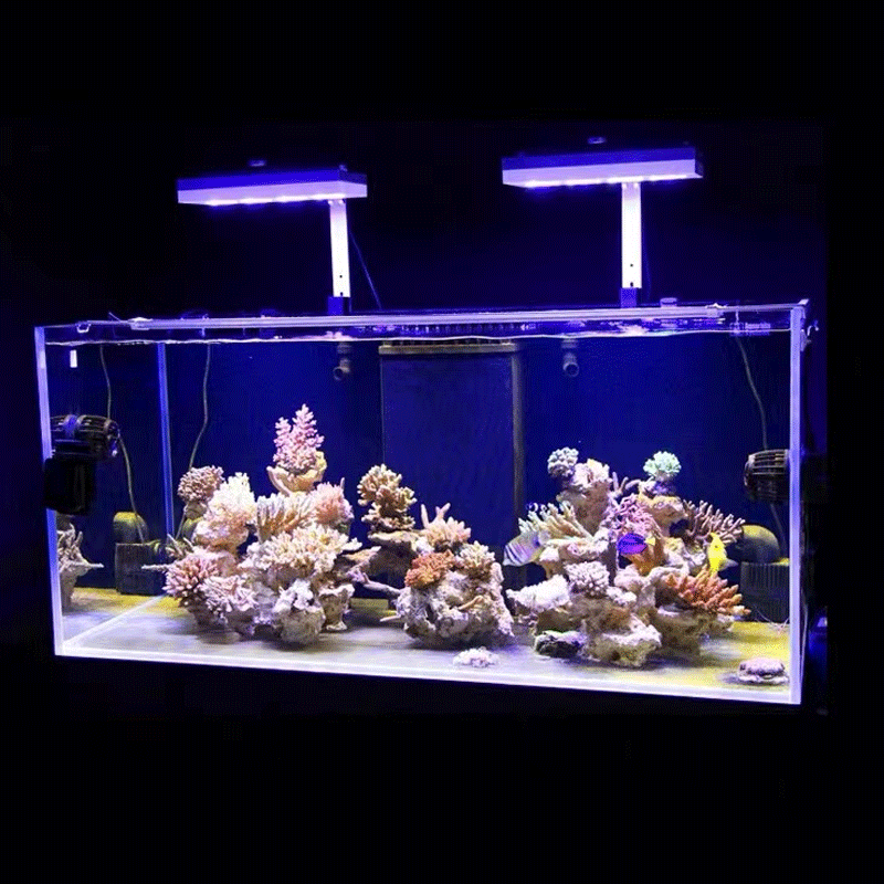 アクアイルミネーション AI ハイドラ 32HD/64HD  - Reef Lighting のレビューと価格