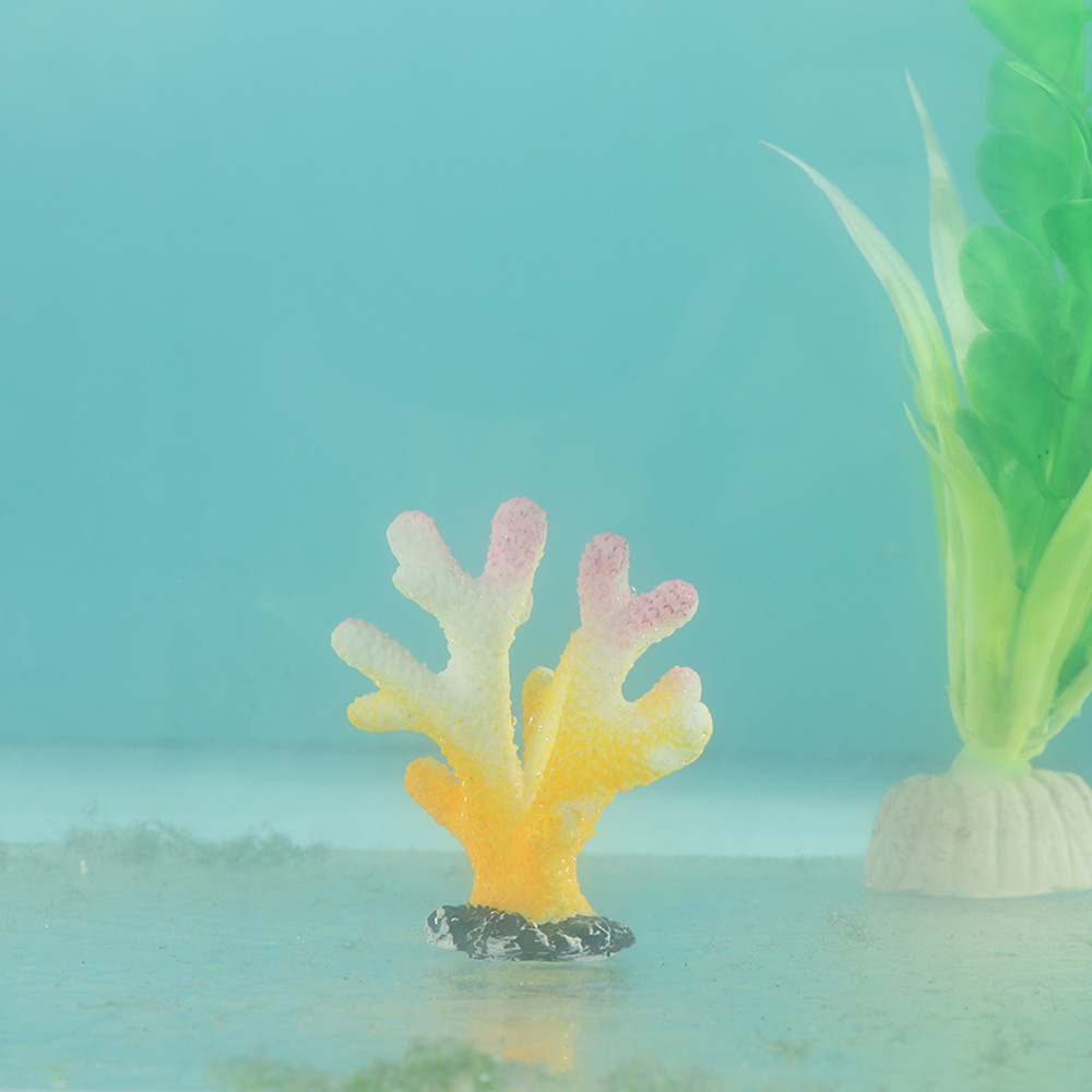 樹脂製の人工水族館の装飾,魚,魚,魚,葉,岩,水族館の装飾, - Reef Aquarium のレビューと価格