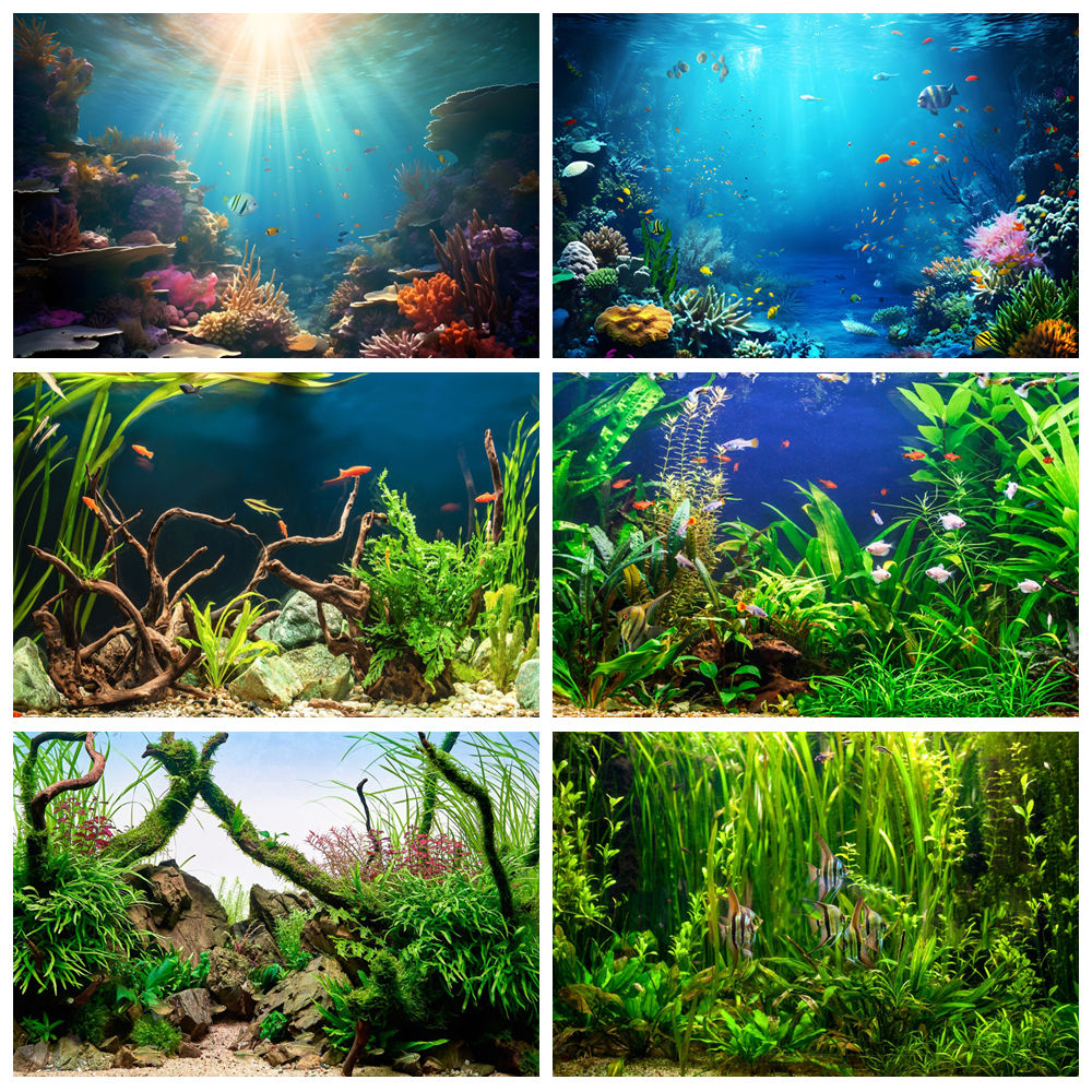 海中海底世界写真撮影の背景水中海洋サンゴ海藻魚水族館赤ちゃん - Aquarium Marine World のレビューと価格