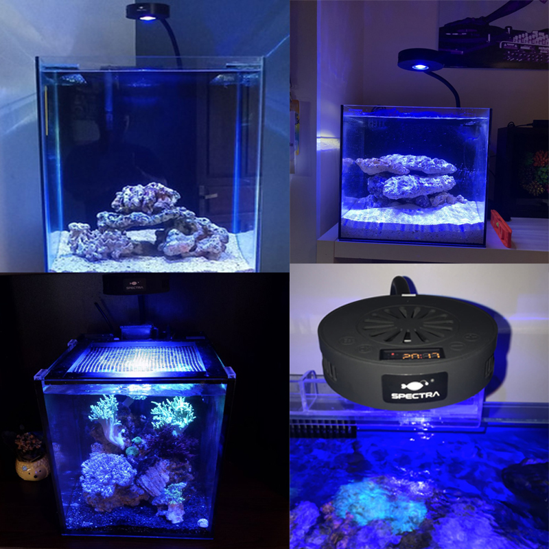 Aquaknight V2 マリンリーフライト 36 ワット - Reef Lighting のレビューと価格