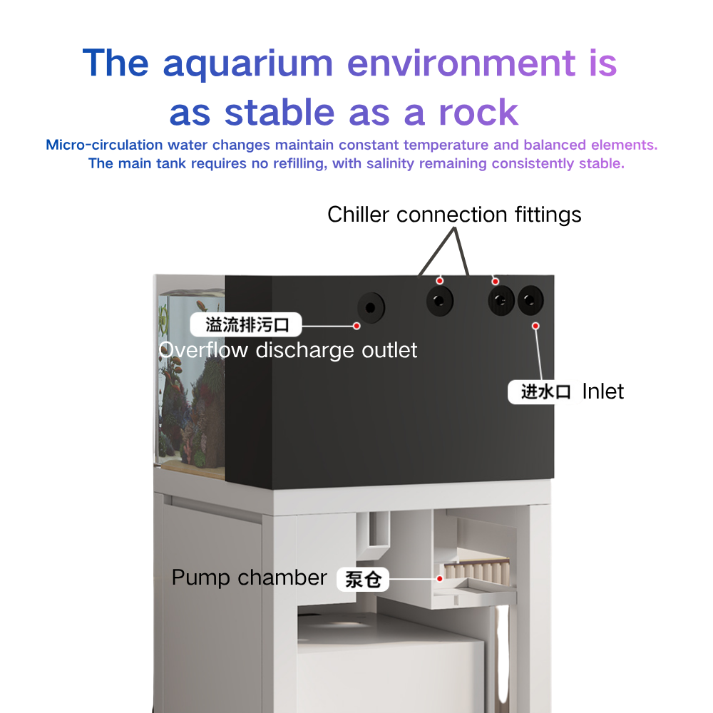スマートフィッシュタンク パオパオシャーク 自動水交換 60 - Marine Aquarium Cube のレビューと価格