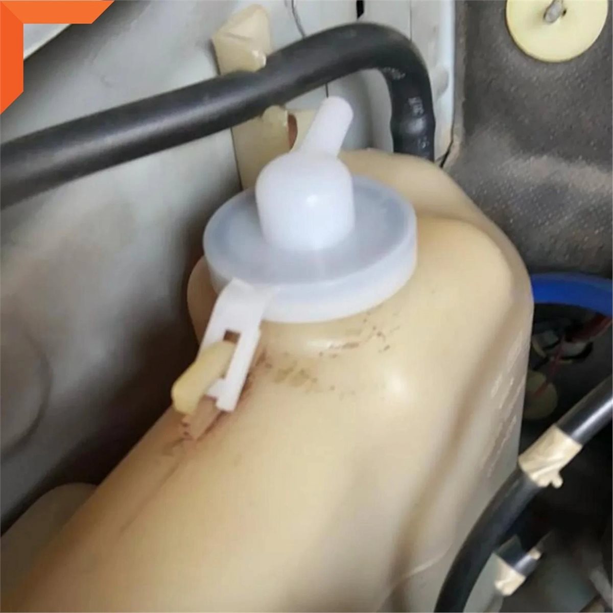 # 37H ラジエーターキャップ、ウォーターウォッシャータン - Saltwater Tank のレビューと価格