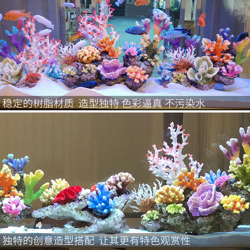 小型水槽用サンゴの木造園セット人工岩飾り水生植物装飾海洋水槽 - Marine Aquarium Epoxy のレビューと価格