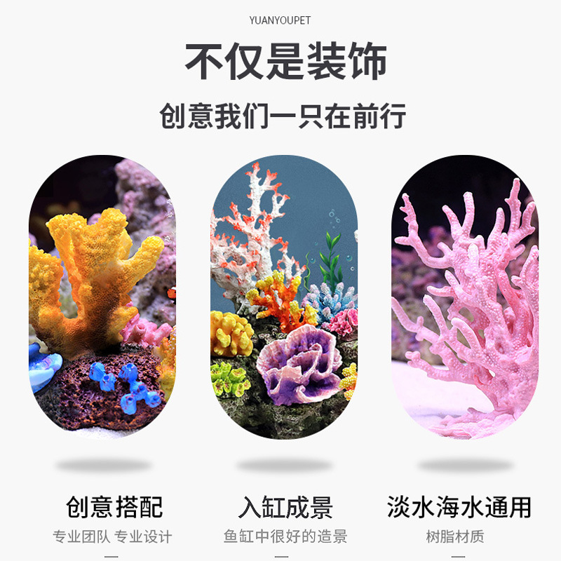 小型水槽用サンゴの木造園セット人工岩飾り水生植物装飾海洋水槽 - Marine Aquarium Epoxy のレビューと価格