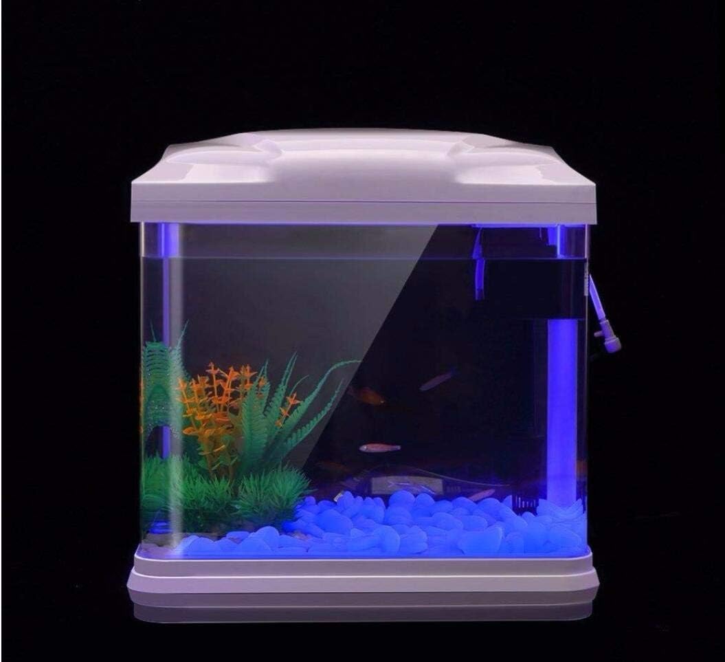 水槽岩グローブルー小石庭用水槽水族館植木鉢盆栽歩道私道 - Ocean Aquarium のレビューと価格