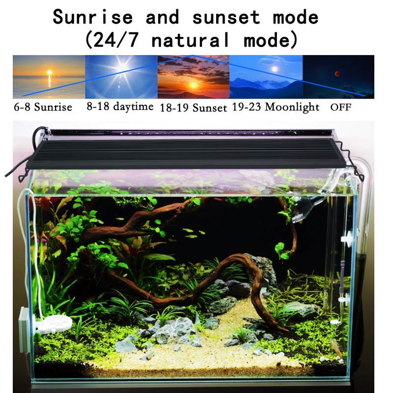 LED水槽ライト フルスペクトル 水草・サンゴ礁水槽用ランプ - Reef Lighting のレビューと価格