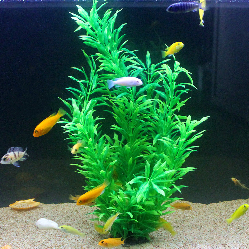 人工水槽50cm,珍しい植物,水族館,偽の竹の葉,水草,プラ - Ocean Aquarium のレビューと価格