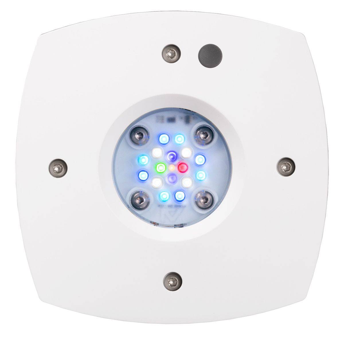 Prime 16 HD LED リーフライト、オリジナルブラ - Reef Lighting のレビューと価格