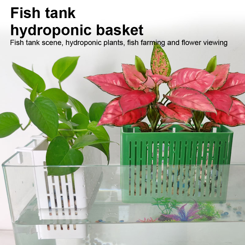【F】水槽用吊り下げプランター、水生植物ホルダー、耐熱性、水 - Marine Aquarium のレビューと価格