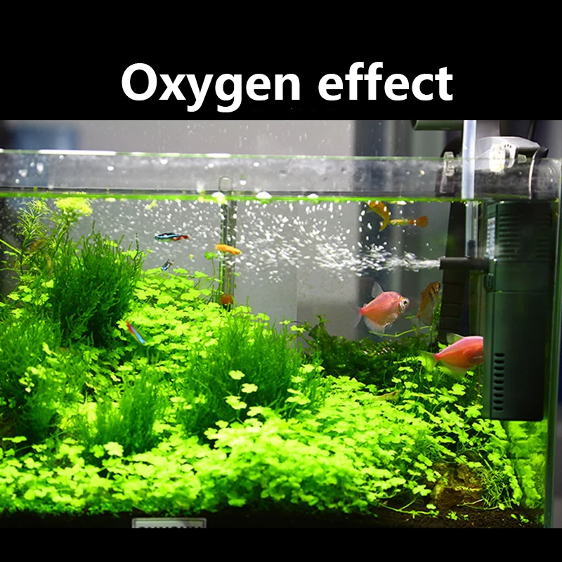 Sunsun-ミニナノ内部酸素ポンプ,111b,311b,6 - Reef Tank Filter のレビューと価格